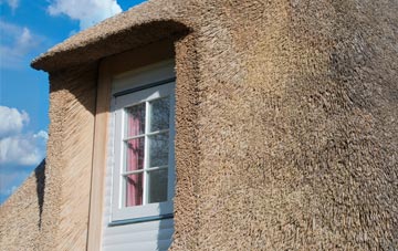 Cotheridge thatch roof disadvantages